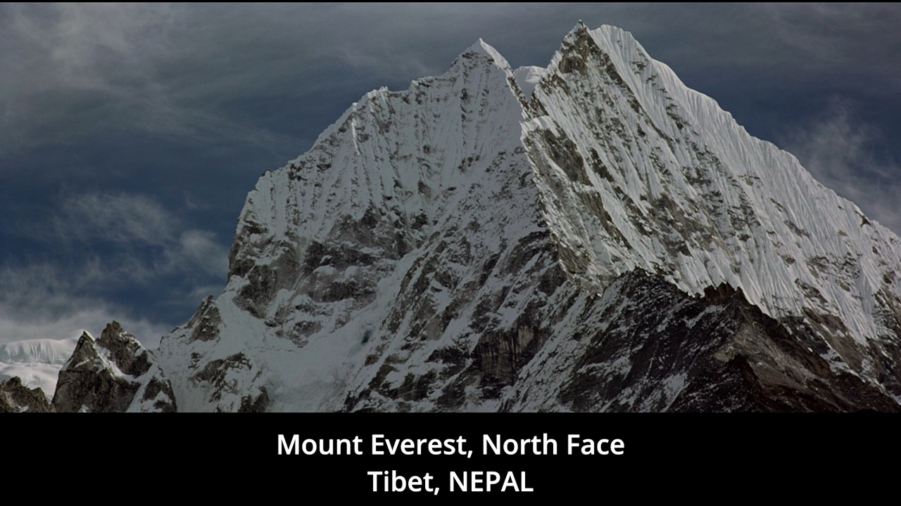 Timeline 1_00088512 Large.jpeg