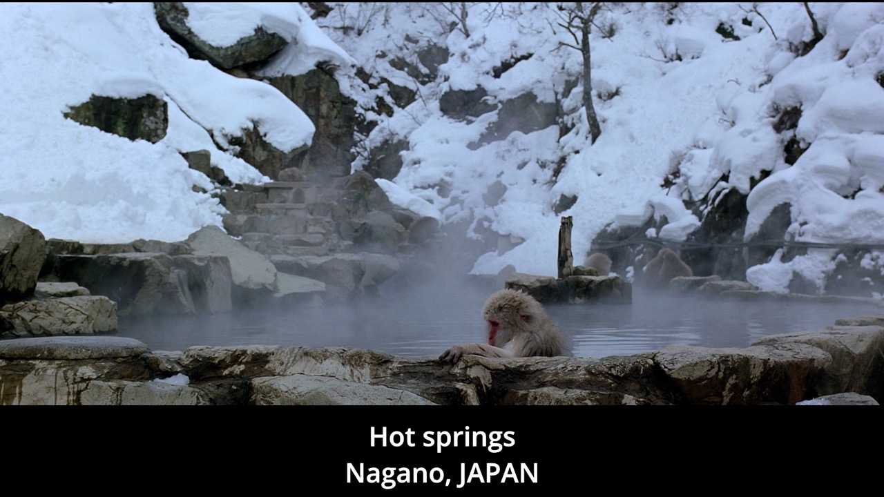 Timeline 1_00089326 Large.jpeg