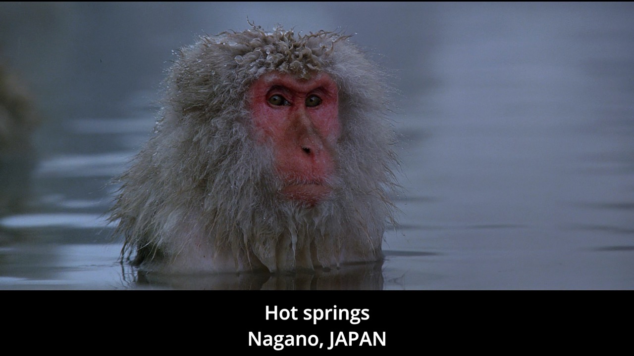 Timeline 1_00089720 Large.jpeg