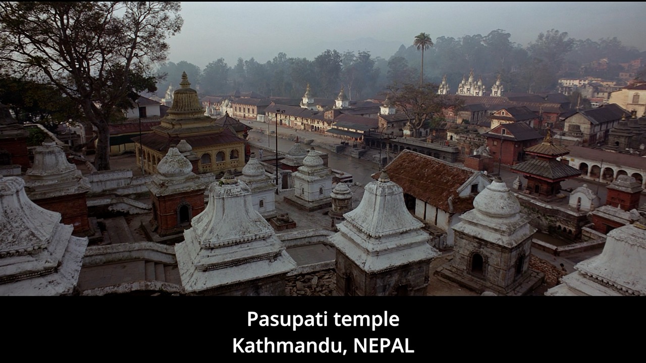 Timeline 1_00092692 Large.jpeg