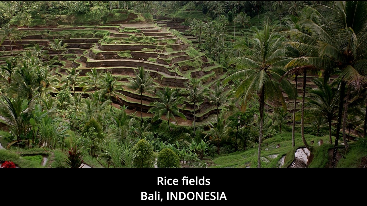 Timeline 1_00104156 Large.jpeg