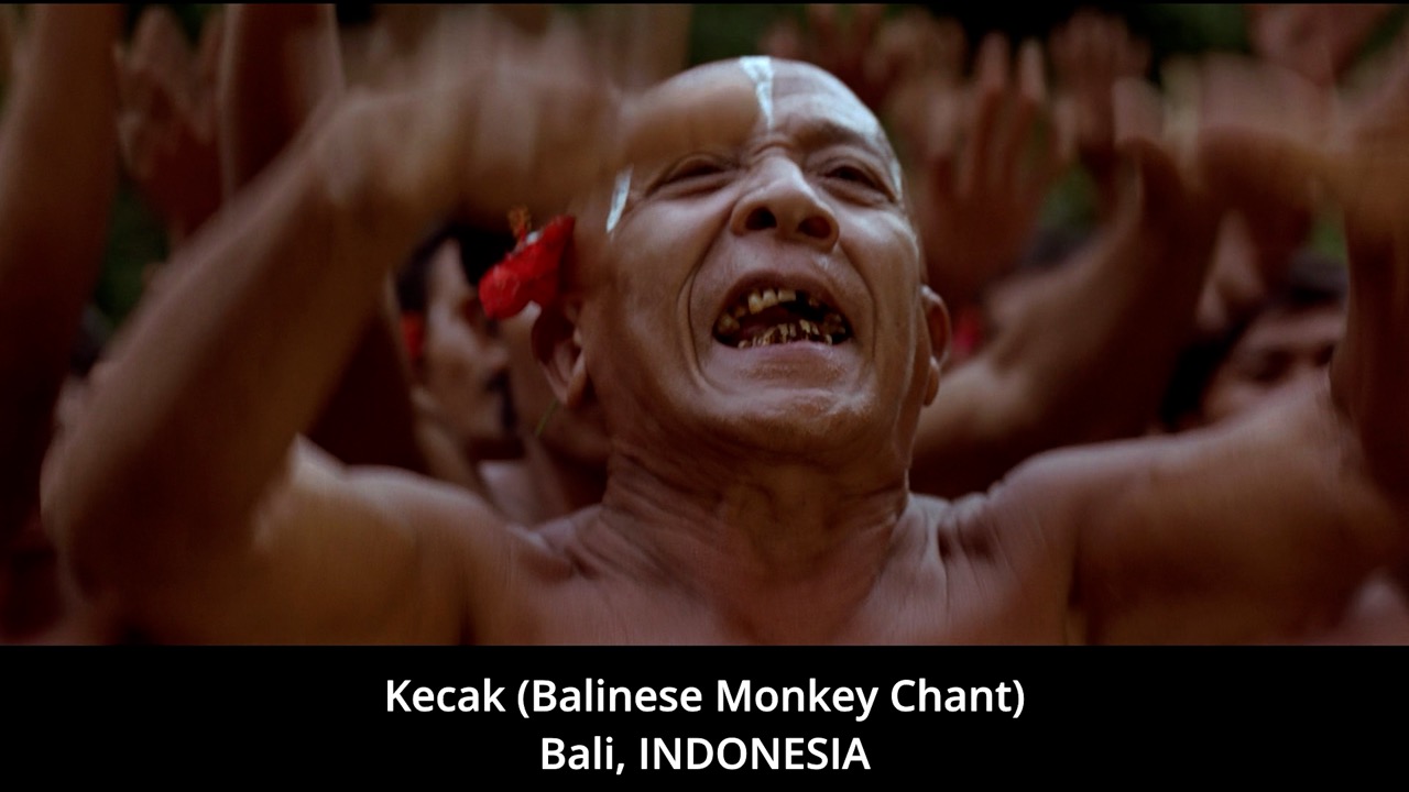 Timeline 1_00107316 Large.jpeg