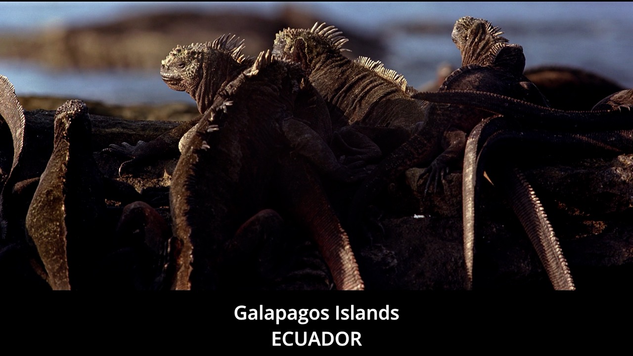 Timeline 1_00115708 Large.jpeg