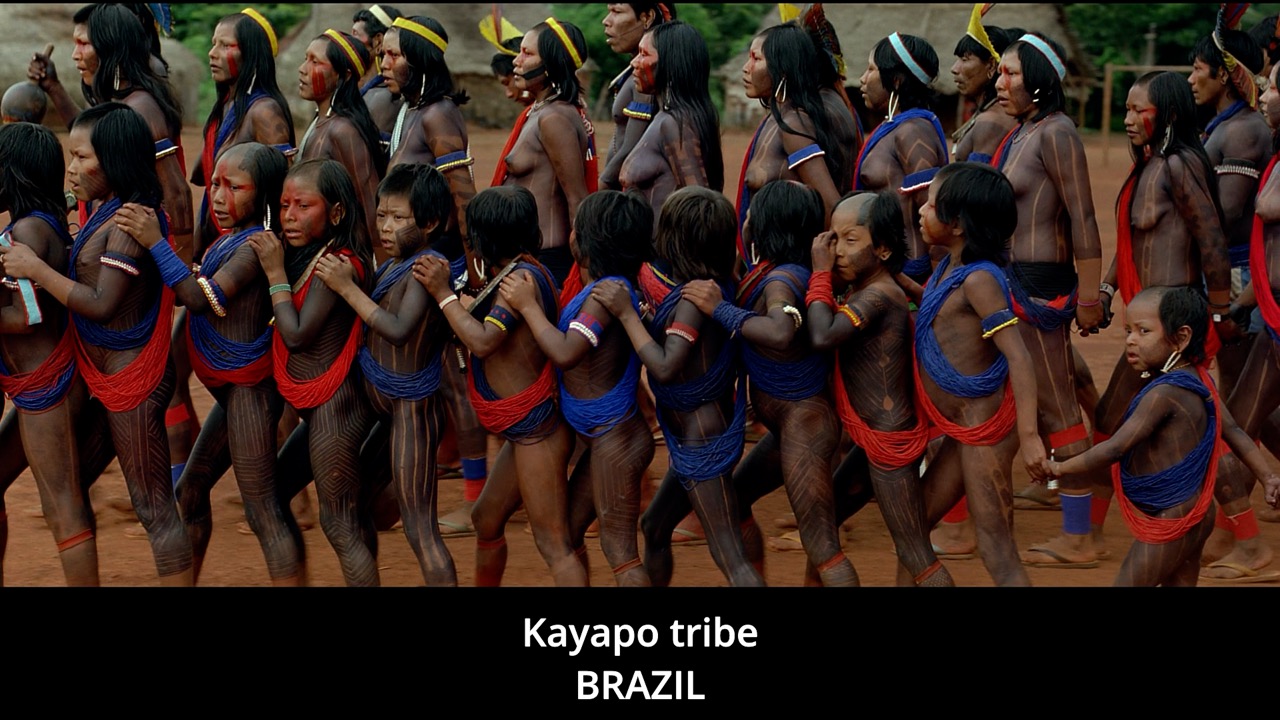 Timeline 1_00123324 Large.jpeg