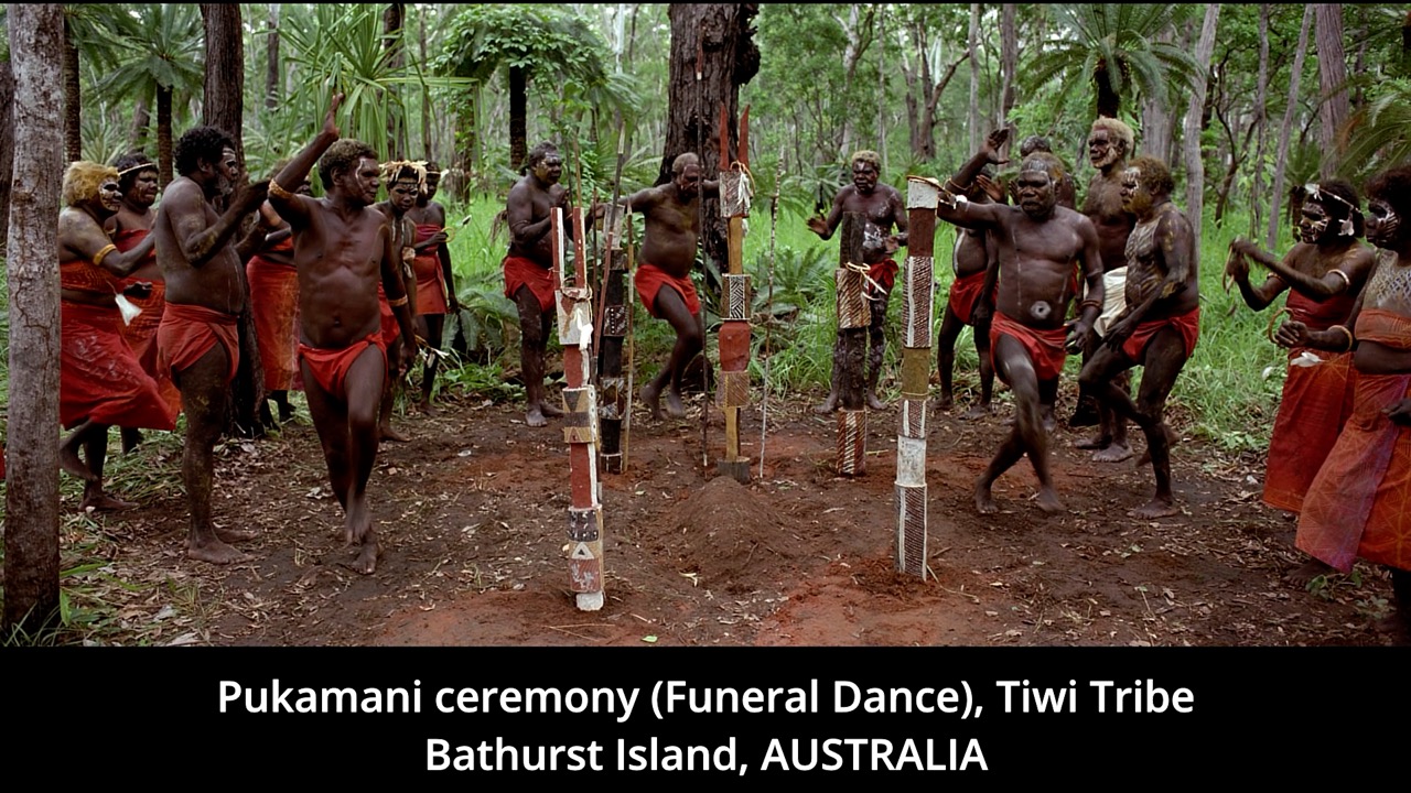 Timeline 1_00124276 Large.jpeg