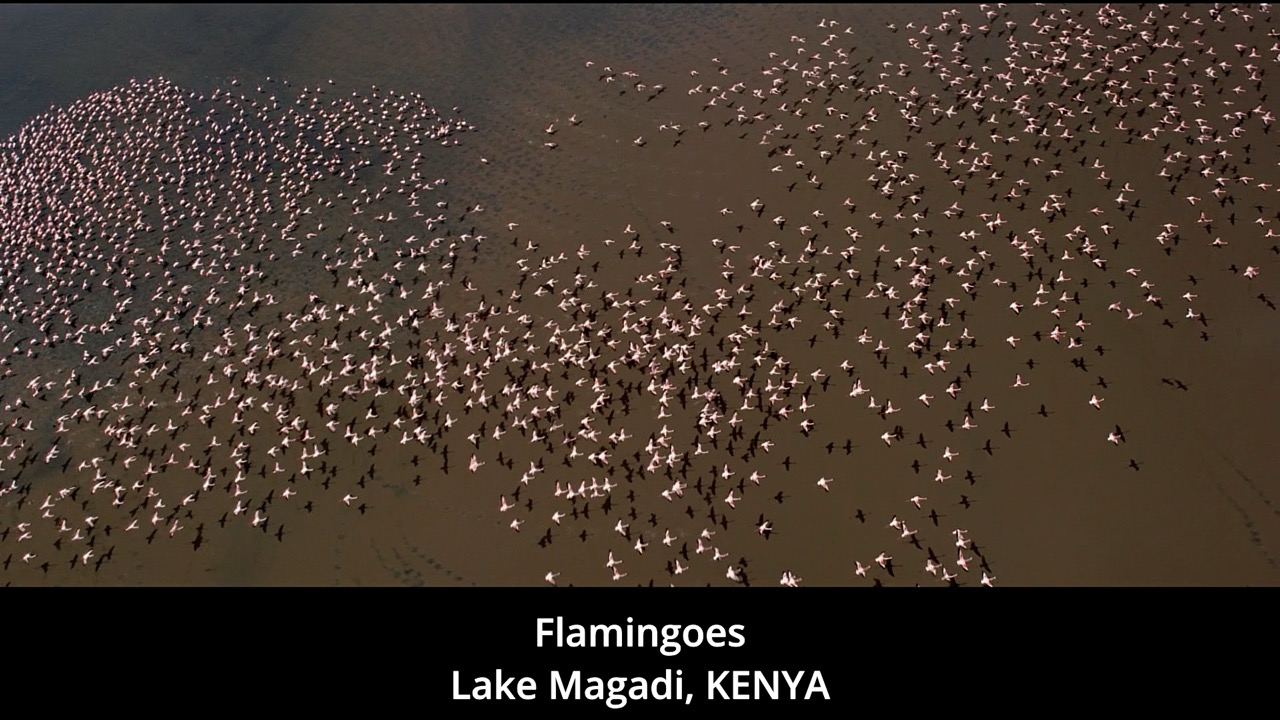 Timeline 1_00125216 Large.jpeg