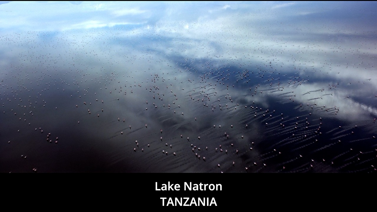 Timeline 1_00128540 Large.jpeg