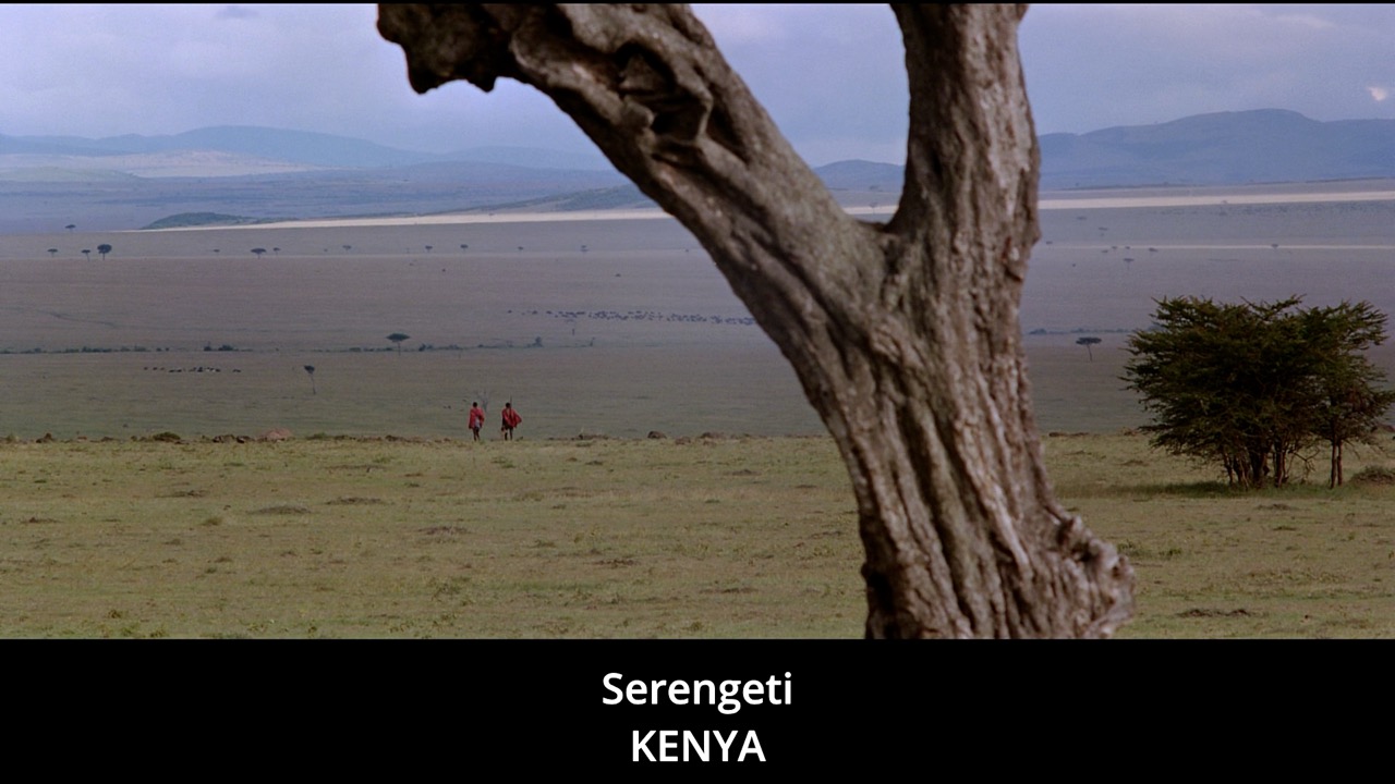 Timeline 1_00130064 Large.jpeg