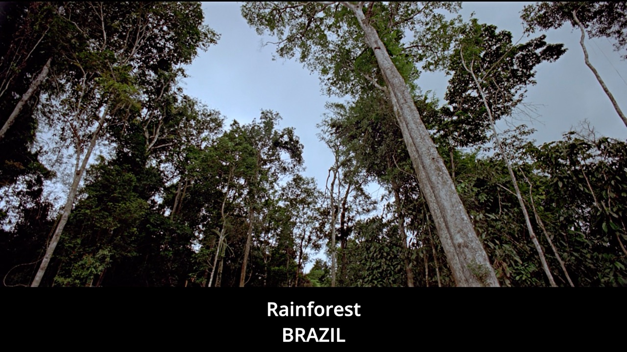 Timeline 1_00131980 Large.jpeg