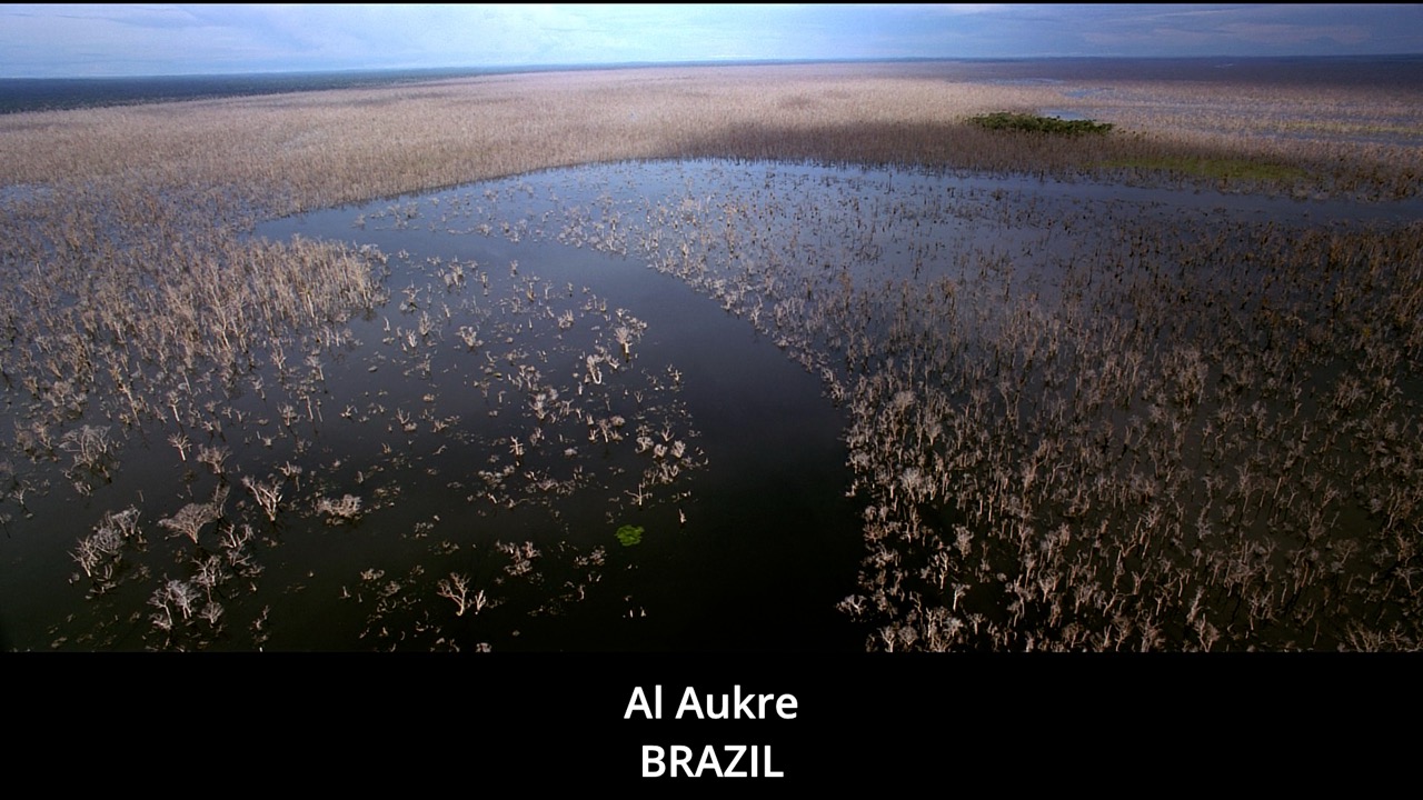 Timeline 1_00134224 Large.jpeg