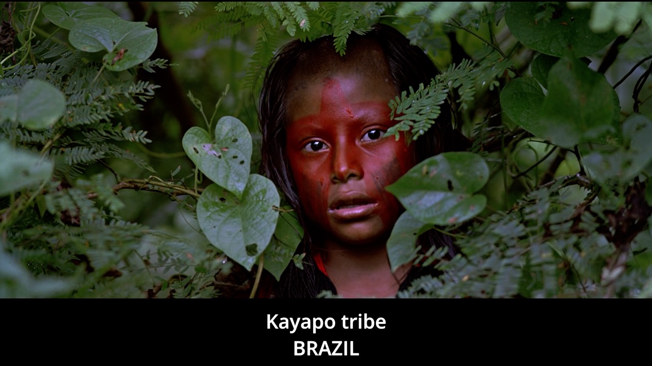 Timeline 1_00134508 Large.jpeg