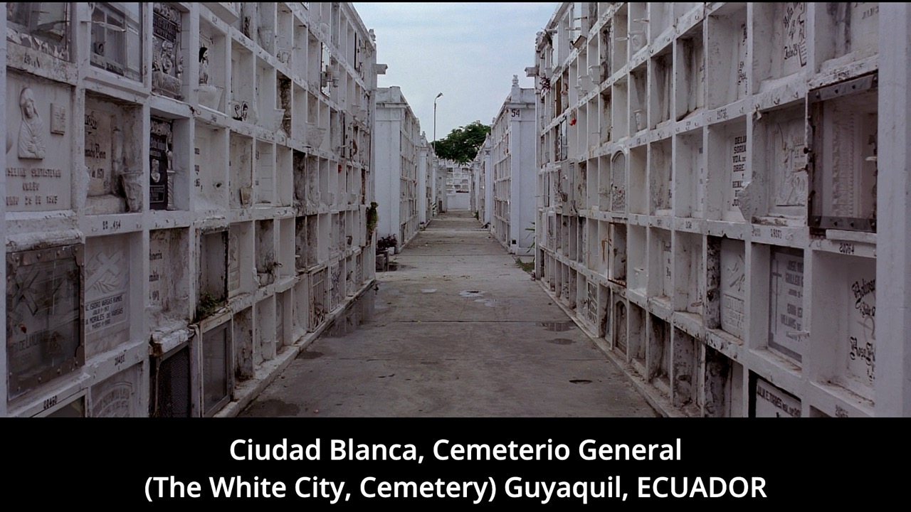 Timeline 1_00139348 Large.jpeg