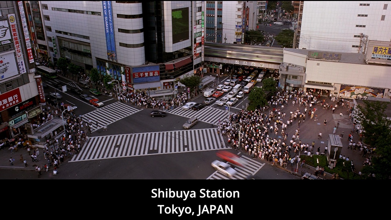 Timeline 1_00149076 Large.jpeg