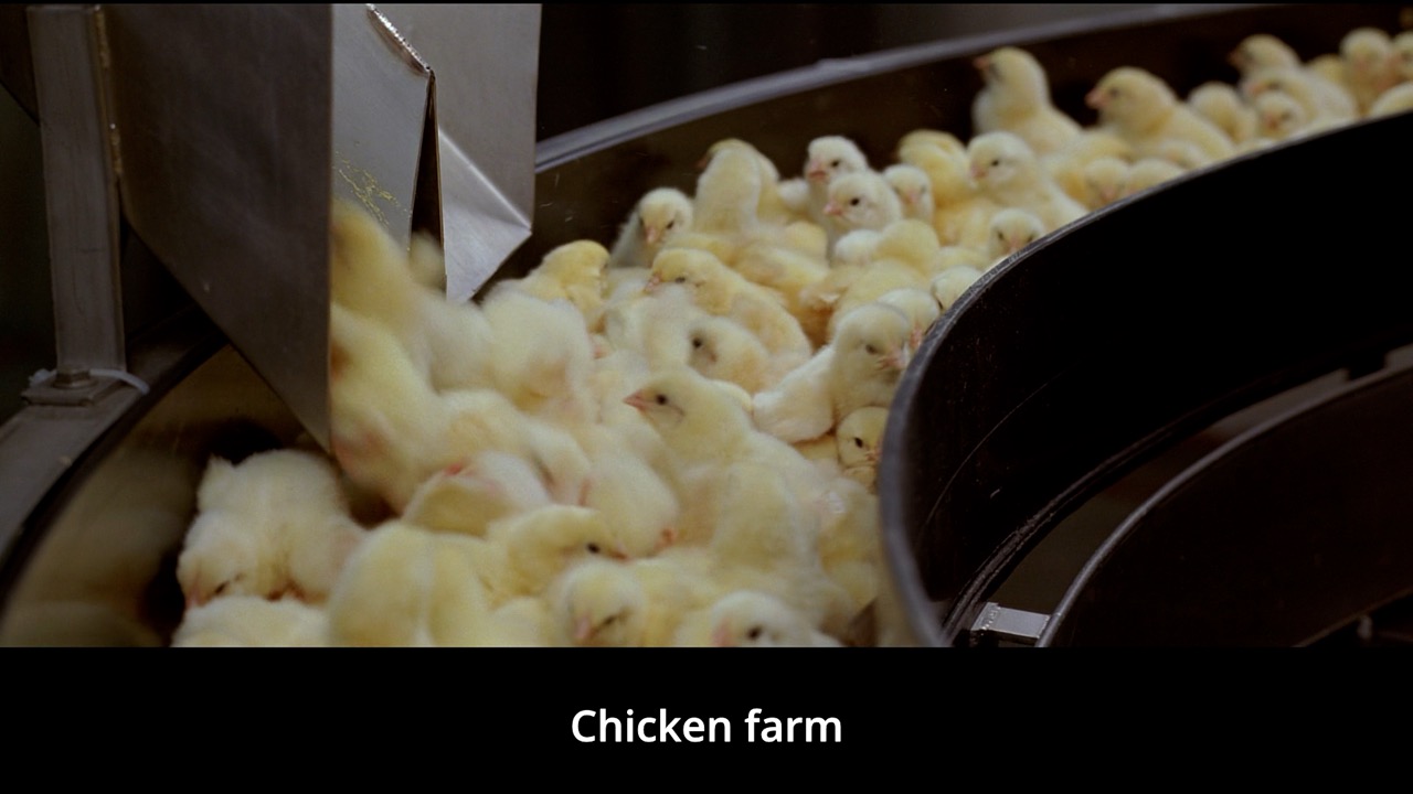 Timeline 1_00155700 Large.jpeg