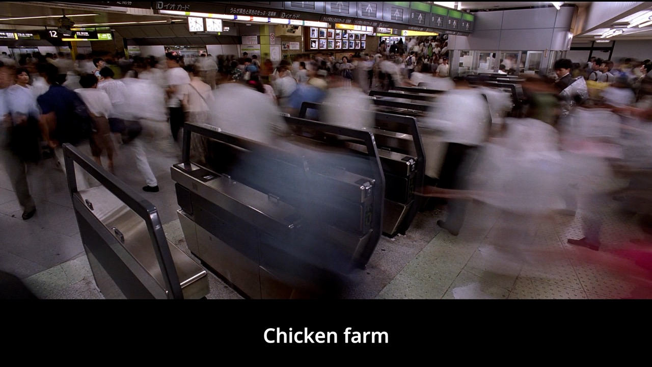 Timeline 1_00156596 Large.jpeg