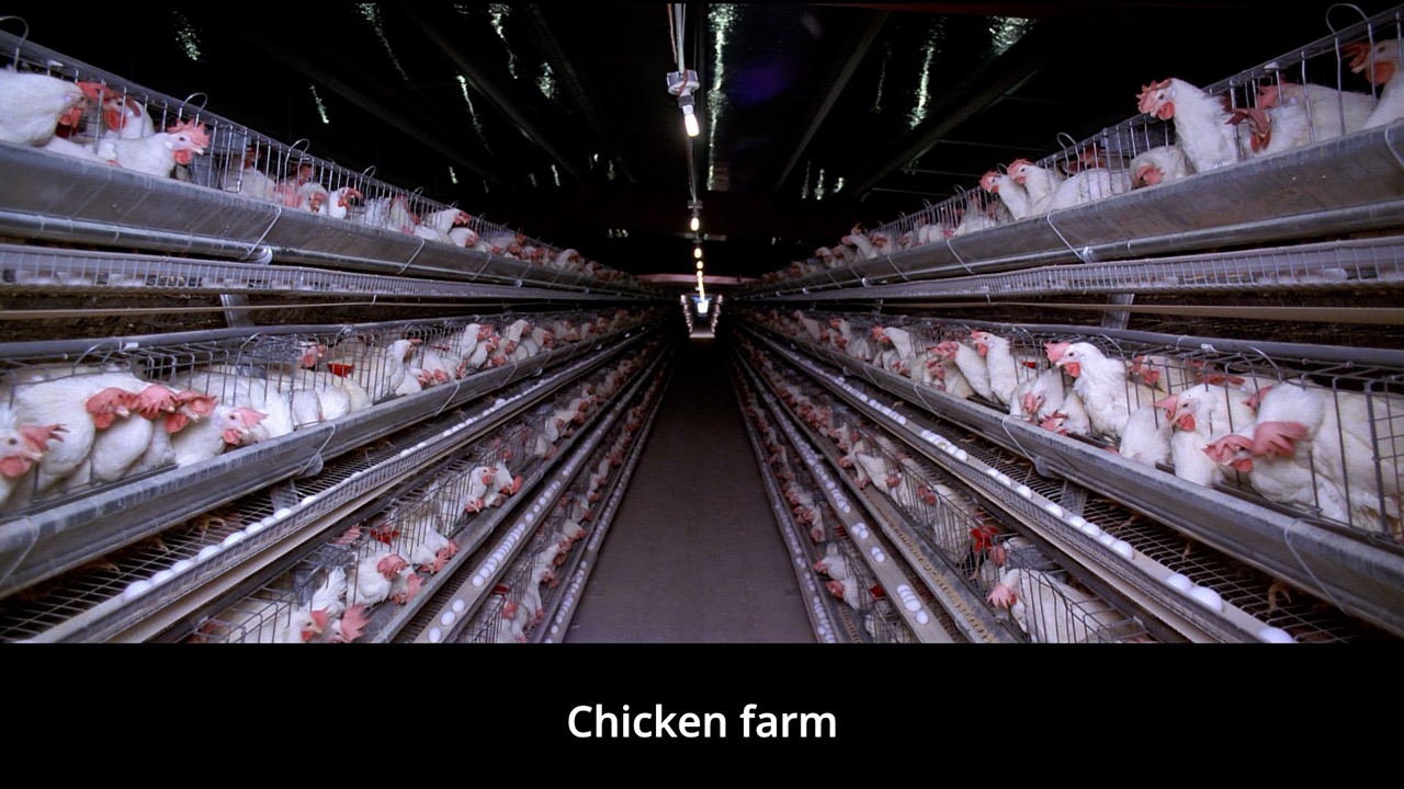 Timeline 1_00158440 Large.jpeg