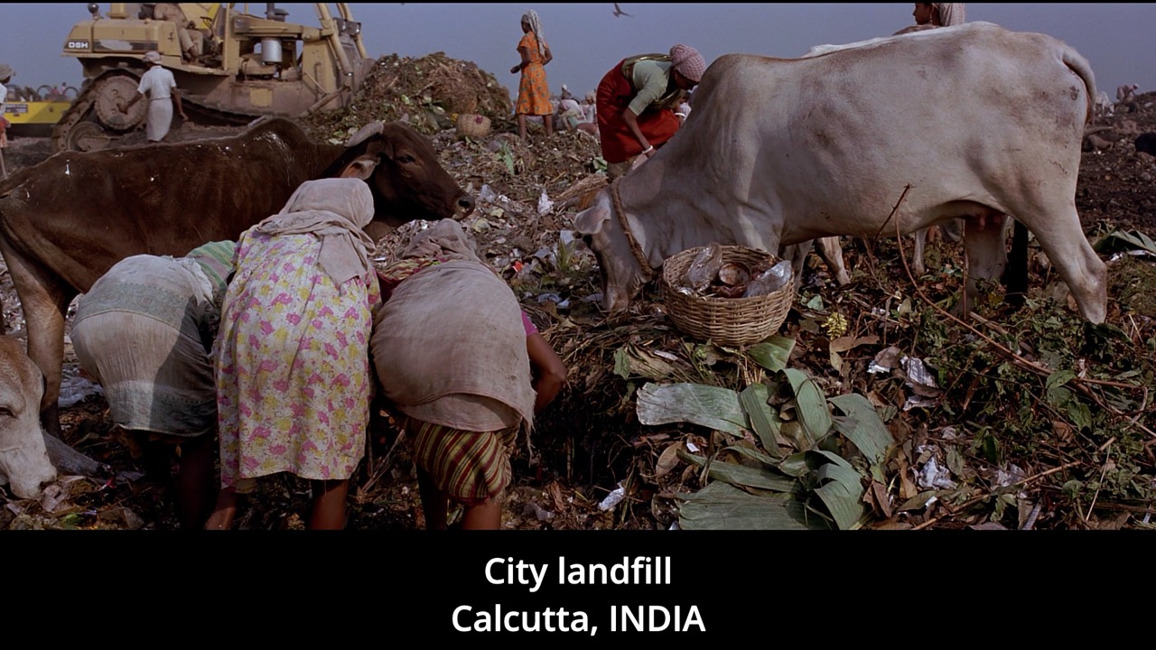 Timeline 1_00162492 Large.jpeg