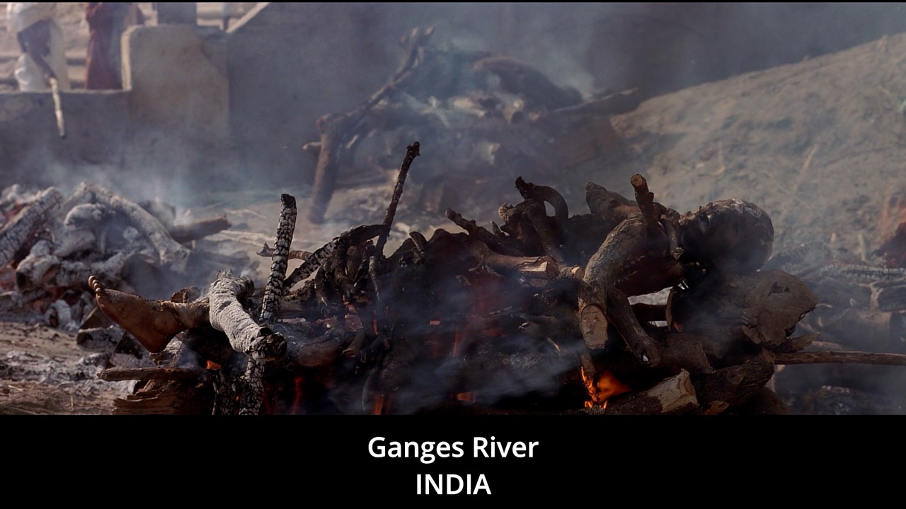 Timeline 1_00198520 Large.jpeg